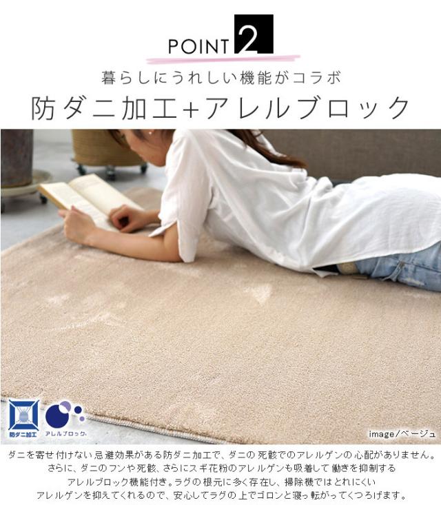 日本製 ラグマット 200×200cm sheep fu:rete シープフレーテ 正方形 カーペット 消臭 防ダニ アレルブロック 遮音 防炎(代引不可)【送料_7