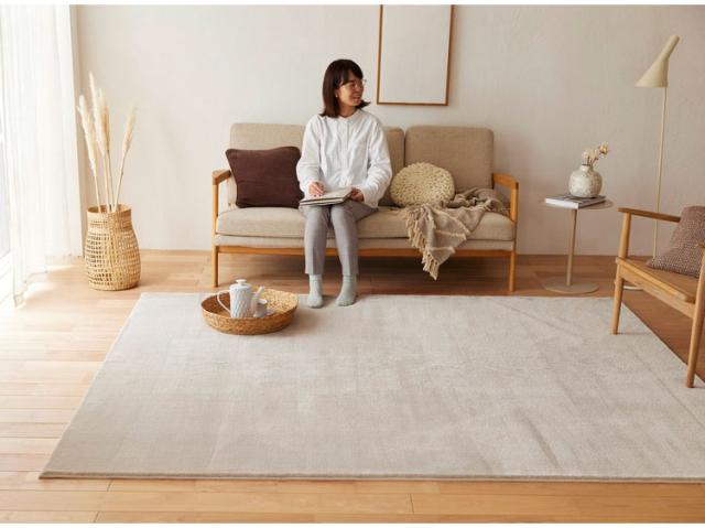 ラグ ハク 190×240cm カーペット 国産 日本製 ラグマット リビング ペット シンプル 防炎 消臭 床暖対応 ホットカーペット対応 遊び毛防止 韓国 ベージュ グレー ホワイト 白 グレージュ 新生活(代引不可)【送料無料】_3