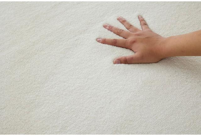 ラグ ハク 90×90cm カーペット 国産 日本製 ラグマット リビング ペット シンプル 防炎 消臭 床暖対応 ホットカーペット形 丸型 遊び毛防止 韓国 ベージュ グレー ホワイト 白 グレージュ(代引不可)【送料無料】_3