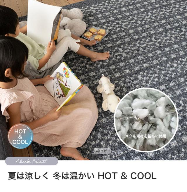 ラグ パヴェ 190×240cm カーペット 国産 日本製 ラグマット リビング シンプル 北欧 防ダニ 滑り止め付 保温 保冷 床暖対応 ホットカーペット対応 遊び毛防止 ベージュ ネイビー 新生活(代引不可)【送料無料】_4