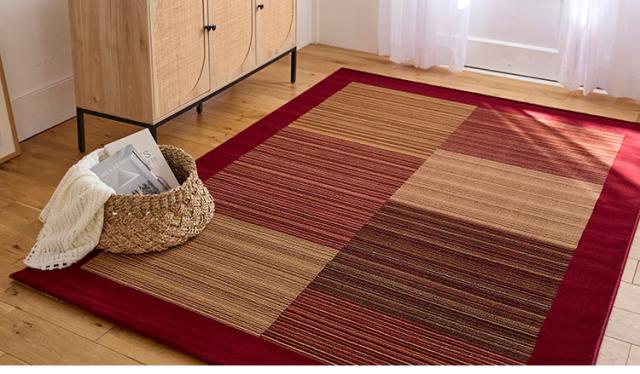 ラグ レゾン 160×230cm ラグマット トルコ製 おしゃれ パイル 家庭用 子ども ペット カーペット 絨毯 ブラック レッド 長方形 リビング ダイニング フローリング 模様替え 新生活(代引不可)【送料無料】_5