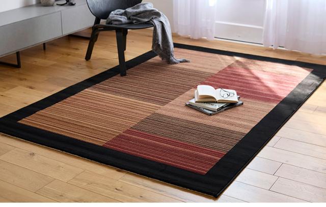 ラグ レゾン 160×230cm ラグマット トルコ製 おしゃれ パイル 家庭用 子ども ペット カーペット 絨毯 ブラック レッド 長方形 リビング ダイニング フローリング 模様替え 新生活(代引不可)【送料無料】_6