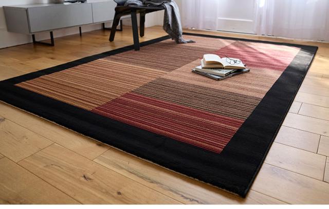 ラグ レゾン 160×230cm ラグマット トルコ製 おしゃれ パイル 家庭用 子ども ペット カーペット 絨毯 ブラック レッド 長方形 リビング ダイニング フローリング 模様替え 新生活(代引不可)【送料無料】_7
