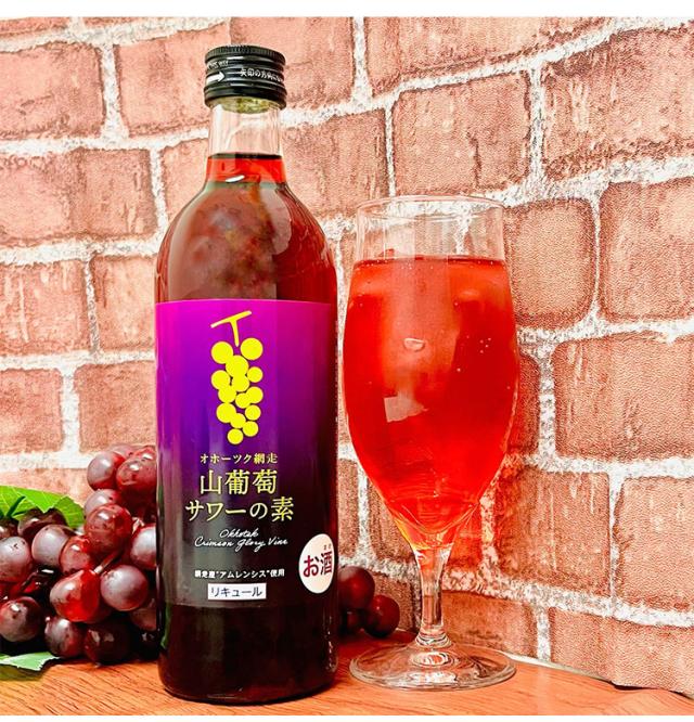 オホーツク 網走 山葡萄サワーの素 1ケース 500ml 12本 リキュール サワー ブドウサワー 網走ビール 北海道 網走 クラフトビール 日本 国産 瓶 炭酸 チューハイ(代引不可)【送料無料】 その他果実系