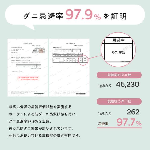 抗菌防臭・防ダニ プロファイル軽量敷布団 ダブル 140×210cm 硬質ウレタンフォーム 片面プロファイル加工 NEW Softcool綿 固綿 ピーチスキン加工 敷布団 寝具 シンプル 敷き布団【送料無料】_5