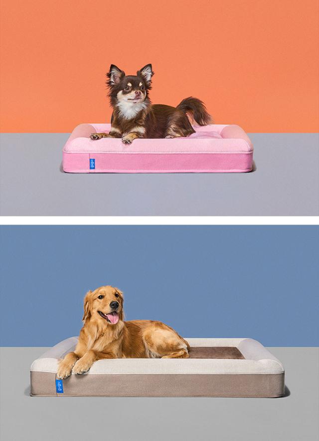 ペットベッド 犬 ベッド 大型犬 超大型犬 老犬 成犬 子犬 パピー シニア 洗える ペットソファ 2way 高反発 ウレタン ドギーベット(代引不可)【送料無料】_4