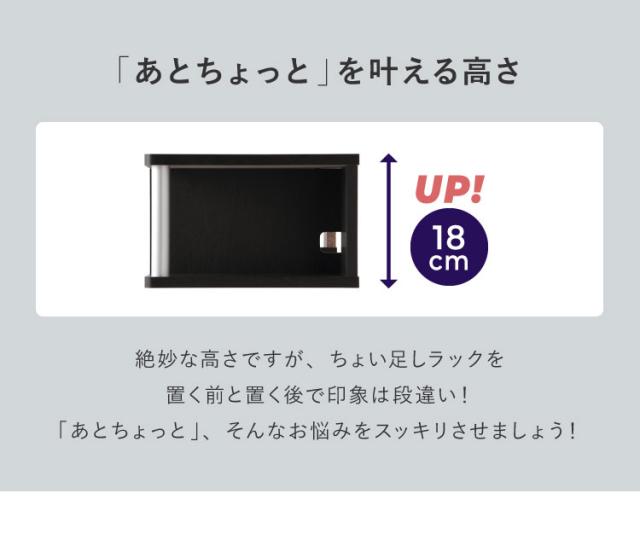 テレビ台 TV台 テレビボード ローボード 完成品 ちょい足しラック 高さ調整 高さ調節 幅110 ダブル おしゃれ 北欧 49型(代引不可)【送料無料】_5