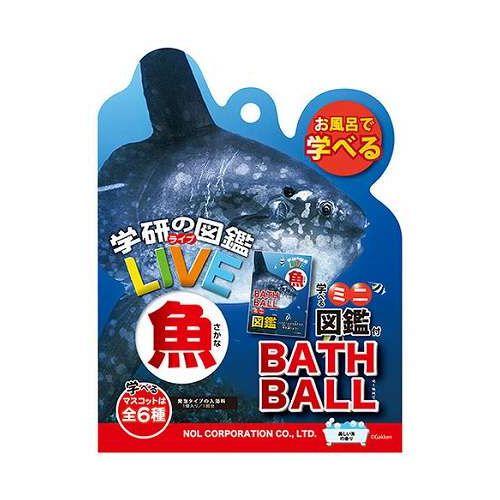 （まとめ） 北越製紙 やよいカラー 4ツ切 10枚 305 みどり〔×20セット〕 北越コーポレーションやよいカラー4ツ切判 （10枚）｜教育・保育を