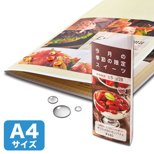 サンワサプライ カラーレーザー用 耐水紙・特厚 LBP-WPF22MDPN(代引不可)【メール便配送】【送料無料】