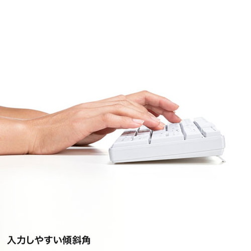 【5個セット】 サンワサプライ マウス付きワイヤレスキーボード SKB-WL34SETWX5(代引不可)【送料無料】の通販は