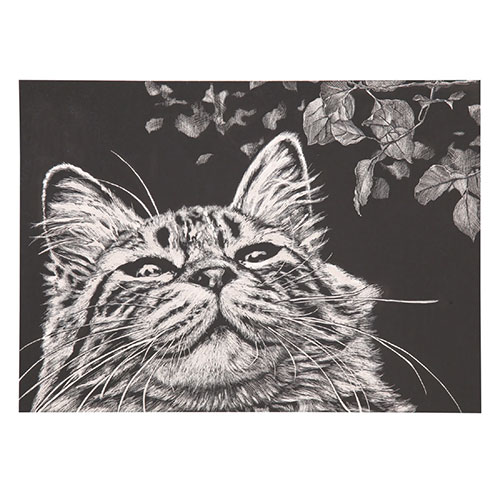 【20個セット】 ARTEC スクラッチボード枠なし紙製 ATC13177X20(代引不可)【送料無料】その他文房具・事務用品