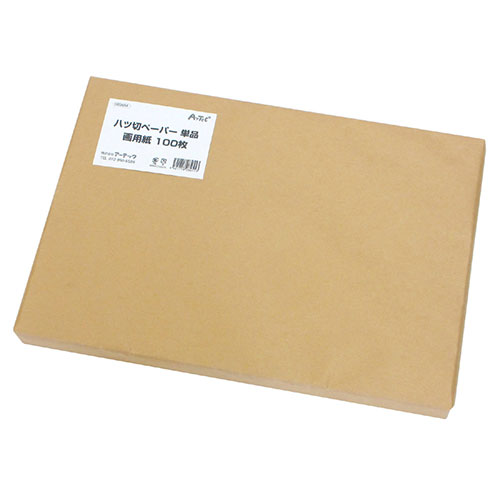 【100枚×5セット】 ARTEC 八切ペーパー単品画用紙 4穴 ATC3454X5(代引不可)【送料無料】