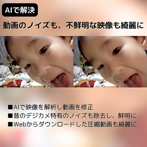 メディアナビ AVCLabs Video Enhancer AI ビデオエンハンサーAI ソフト ダウンロードカード Windows版 MN23003-ASY(代引不可)【送料無料】_5
