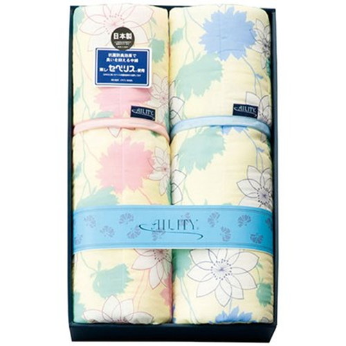 アイリティ 東レ・抗菌防臭わた入キルト肌掛布団2枚セット 2911-059 インテリア(代引不可)【送料無料】
