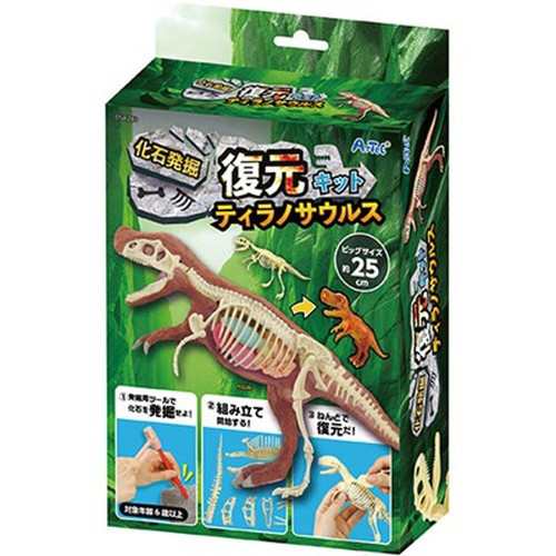 【3セット】 ARTEC 化石発掘復元キット ティラノサウルス ATC58240X3 キッズ 子供用品(代引不可)【送料無料】の通販は 5,210円