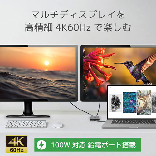 ラトックシステム USB Type-C to デュアルHDMIディスプレイアダプター PD対応 RS-UCHD2-PD 映像関連(代引不可)【送料無料】_1