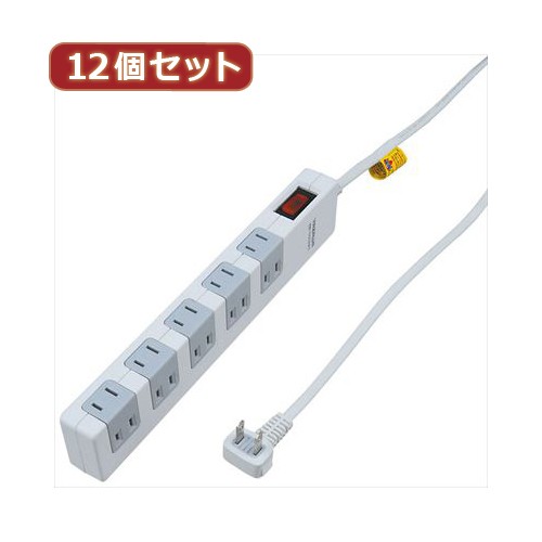 YAZAWA 【12個セット】 雷ガード ブレーカー集中SW付10個口 Y02FSBK1015WHX12 家電 生活家電 その他家電用品【送料無料】