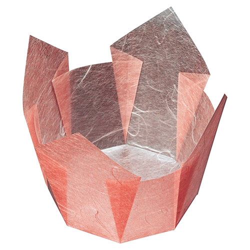 ヤマコー 用美 業務用 両面OP珍味入 紅梅雲竜 大 (100枚入) yamaco66402(代引不可)【送料無料】