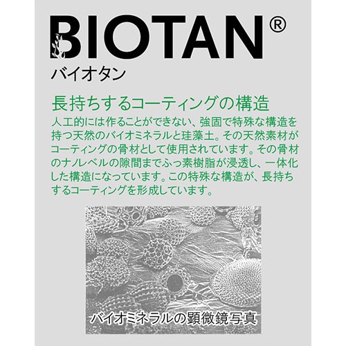 ガストロラックス バイオタンBIOTAN IH・ガス対応深型フライパン 20cm 固定ハンドル PFOS/PFOAフリー Gastrolux17220(代引不可)【送料無料】_2