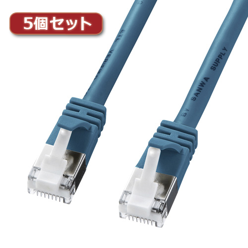 【5個セット】 サンワサプライ ツメ折れ防止カテゴリ5eSTPLANケーブル KB-STPTS-10BLX5 KB-STPTS-10BLX5【送料無料】