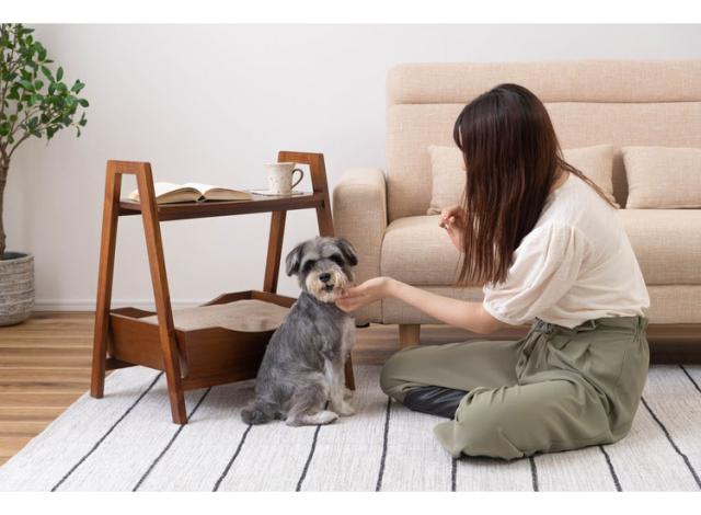 ペットベッド サイドテーブル テーブル ペット 犬 猫 ウサギ シンプル おしゃれ 北欧 持ち手 ハンドル クッション付き 木製 天然木 ナチュラル ブラウン リビング 高さ60cm(代引不可)【送料無料】の通販は