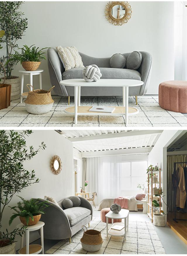 ソファ ソファー 2人掛け 2人掛けソファー アーム付き 幅162cm ファブリック 布地 ベロア生地 クッション付き かわいい 高級感 上品 おしゃれ ピンク グレー(代引不可)【送料無料】の通販は