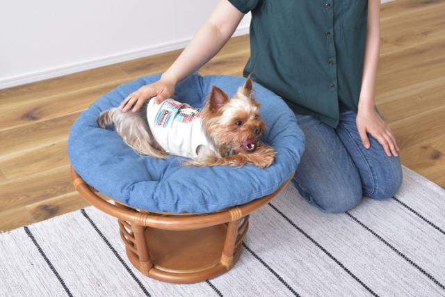 スツール ペットスツール 椅子 チェア ペット イヌ ネコ 犬 猫 クッション ラタン 収納 ゆったり おしゃれ リビング アニマル(代引不可)【送料無料】_1