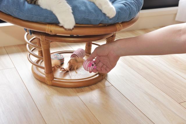 スツール ペットスツール 椅子 チェア ペット イヌ ネコ 犬 猫 クッション ラタン 収納 ゆったり おしゃれ リビング アニマル(代引不可)【送料無料】_10
