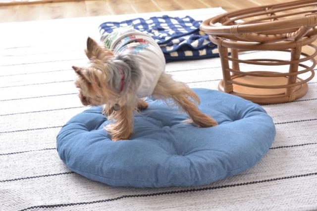 スツール ペットスツール 椅子 チェア ペット イヌ ネコ 犬 猫 クッション ラタン 収納 ゆったり おしゃれ リビング アニマル(代引不可)【送料無料】_6