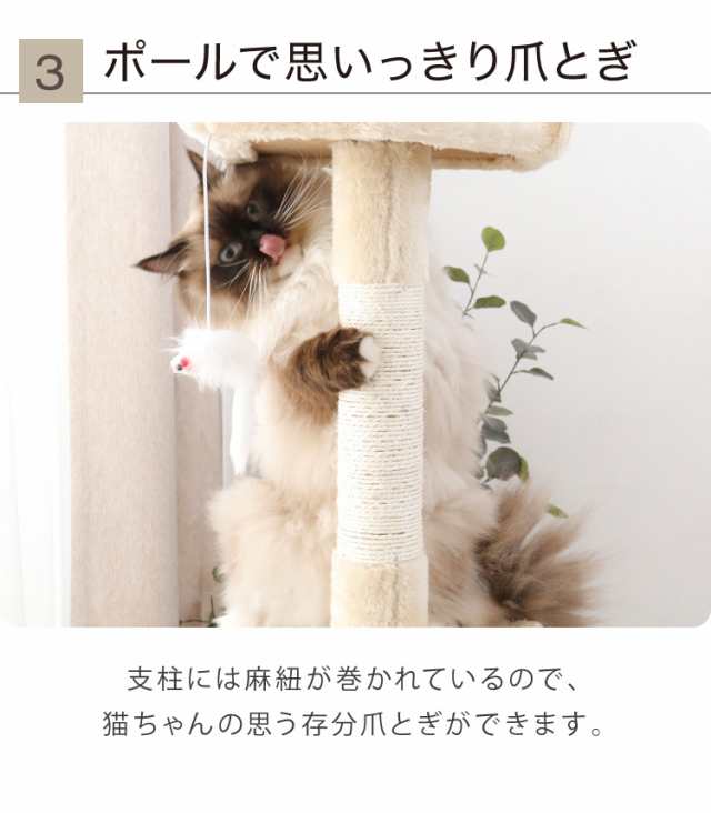 キャットタワー スリム 据え置き ハンモック付き 46×46cm 高さ153cm 省 ...