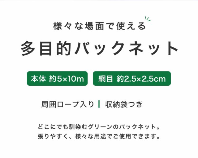 サイバーパンク 野球ネット 5×10m - 野球