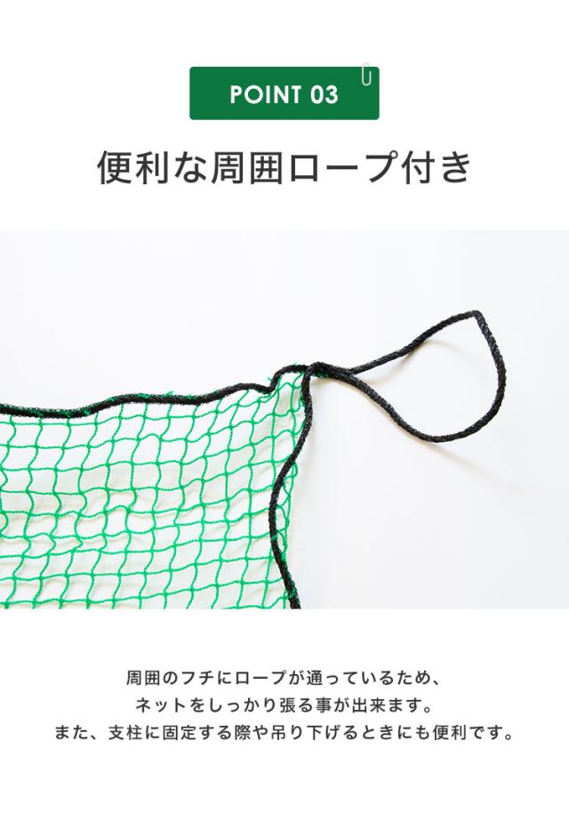 バックネット 野球 5×10m 網目2.5cm グリーン 防球ネット ネット 保護 