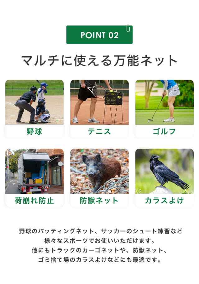 バックネット 野球 5×5m 網目2.5cm グリーン 防球ネット ネット