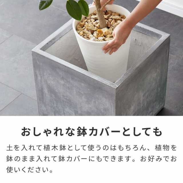 多肉植物 テナ 植物 スクエア シンプル 植木鉢