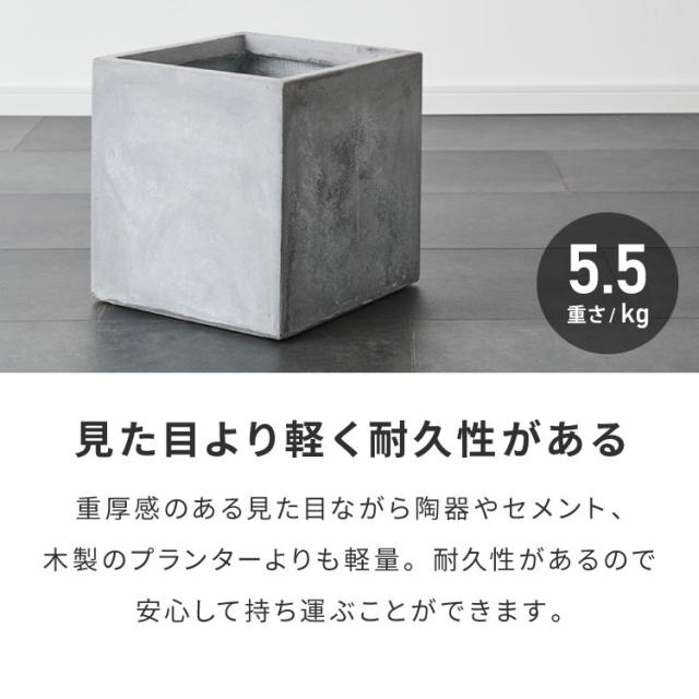 プランター 大型 31×31cm スクエア コンクリート おしゃれ モダン