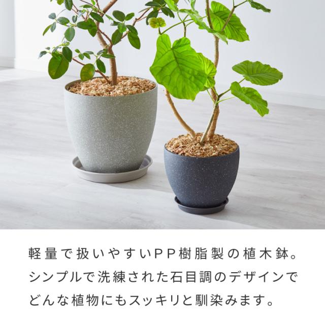 植木鉢 鉢 直径23cm 8号 おしゃれ モダン ガーデニング 植木鉢 鉢
