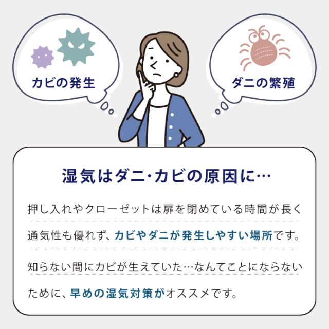 すのこ 押入れ収納 8枚セット 桐 桐すのこ 押入れ 収納 寝具収納 防カビ 8枚入り 押入れ用すのこ 収納用 布団収納 すのこマット 除湿【送料無料】 すのこ