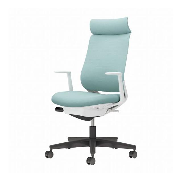 フィシオエナジェティック 頸椎の診断と治療法 テキスト 健康・医学