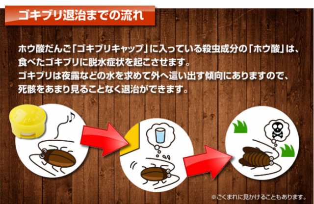 人気の贈り物が大集合 タニサケ ゴキブリキャップ