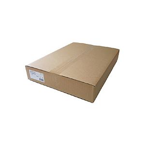 コピー偽造予防用紙 浮き文字タイプ A3 片面 600枚／箱（代引不可）