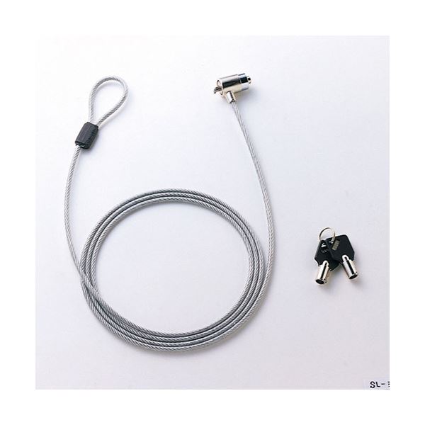 (まとめ)サンワサプライ ノートパソコンセキュリティ SL-31S【×2セット】（代引不可）の通販は