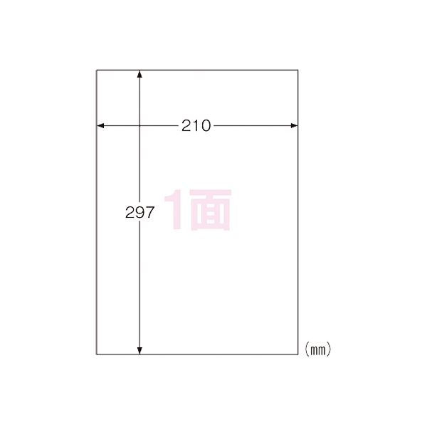 ヒサゴ 屋外用ラベル A4 ノーカット 100枚 KLP862（代引不可）