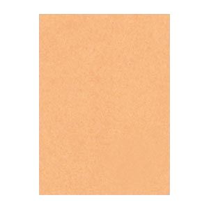 （業務用セット） 文運堂 ニューカラーR 四ツ切 横392×縦542mm 4NCR-109 うすちゃ 100枚入 【×2セット】（代引不可）の通販は 10,450円