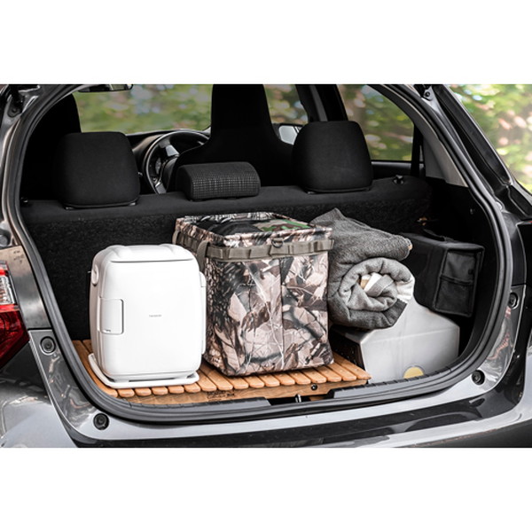 ESCO エスコ DC12V/AC100V(5.5L) 保温・保冷ボックス EA763AP-123B(代引不可)【送料無料】