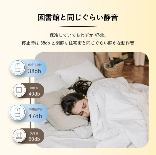 米びつ 保冷米びつ ライスクーラー 31kg 米櫃 スリム 保冷庫 白米 コンパクト 静音 家庭用 湿気 虫 対策 防虫 害虫 おしゃれ ストック ライスストッカー 便利 家電 RM-RC31S ROOMMATE(代引不可)【送料無料】_8