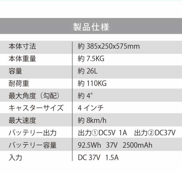 乗れるスーツケース SE3MiniT 機内持込可 キャリーケース スーツケース