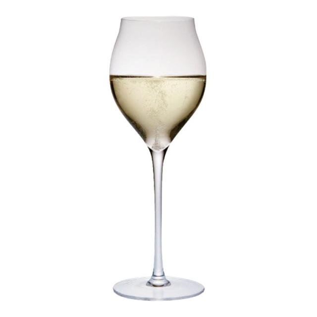 ミランダチューリップシャンパーニュ20206(6ヶ入)リビングカマトク