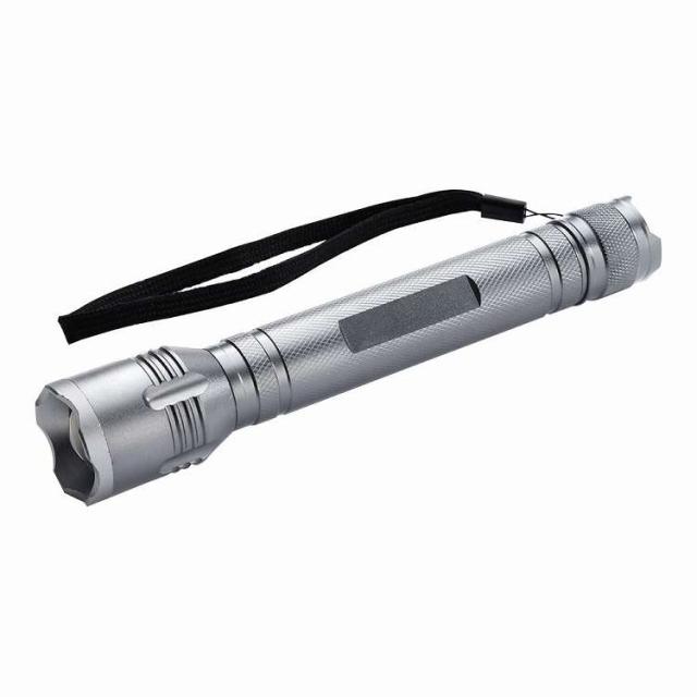 アニサキス検知用ハンディライト AW01-HL(代引不可)【送料無料】