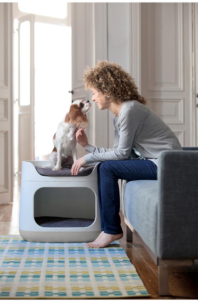 ペットバンクベッド ペット クッション 犬 猫 KETER ケータ— COZY