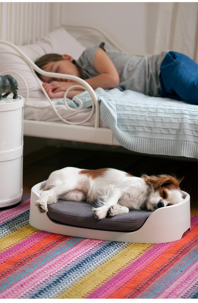 ペットバンクベッド ペット クッション 犬 猫 KETER ケータ— COZY